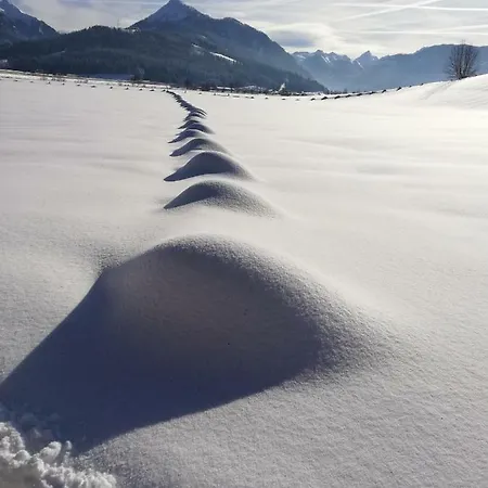 Oberfischergut Apartment Flachau