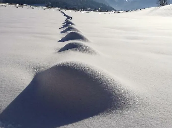 Oberfischergut 公寓 弗拉绍